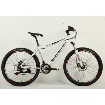 Vélo de montagne vente chaude (FP-MTB-A053)